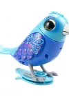 Digibirds Tekli Paket Seri 1 - Model 1