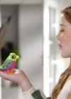 Digibirds Tekli Paket Seri 1 - Model 3