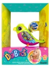 Digibirds Tekli Paket Seri 1 - Model 3