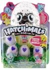 Hatchimals Dörtlü Figür Paket Model 6