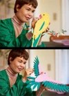 LEGO ART Fauna Koleksiyonu - Macaw Papağanları 31211