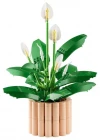 LEGO Botanicals Barış Çiçeği 11504