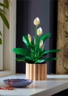 LEGO Botanicals Barış Çiçeği 11504