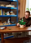 LEGO Botanicals Barış Çiçeği 11504