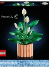 LEGO Botanicals Barış Çiçeği 11504