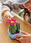 LEGO Botanicals Çiçekli Kaktüs 11509