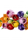LEGO Botanicals Lale Buketi 11501