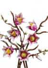 LEGO Botanicals Manolya Dalları 11510