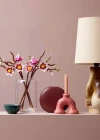 LEGO Botanicals Manolya Dalları 11510