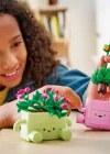 LEGO Botanicals Sallanan Bitkiler 11506