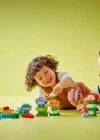 LEGO DUPLO Yaratıcı Bahçe ve Çiçekler 10444