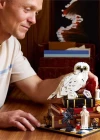 LEGO Harry Potter Felsefe Taşı – Koleksiyoncu Versiyonu 76466