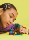 LEGO Minecraft Bataklık Macerası 21240