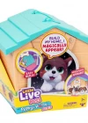 Little Live Pets Yavru Köpeğim ve Evi LPP01110 - Mavi