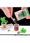 Miniverse Mini Doğa Serisi Seri 2 528166
