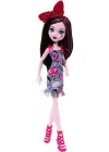 Monster High Acayip Arkadaşlar Draculaura DVH18