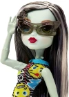Monster High Acayip Arkadaşlar Frankie Stein DVH19
