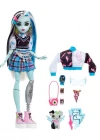 Monster High Ana Karakter Bebekler HHK53 - Frankie Stein