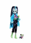 Monster High Creepover Party HKY68 - Frankie Stein