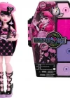 Monster High Gizemli Arkadaşlar Draculaura HKY60