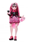Monster High Gizemli Arkadaşlar Seri 2 HNF73 Draculaura