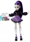 Monster High Güzellik Sırları Serisi - Spectra JHK46