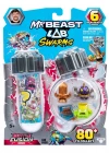 MrBeast 6lı Tüp Seti S4 24873