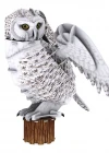National Geographic - Kar Baykuşu 3D Puzzle DS1079h