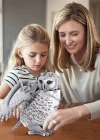 National Geographic - Kar Baykuşu 3D Puzzle DS1079h