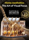 Natural Museum - Brachiosaurus 3D Puzzle (Led Işıklı) L544h