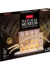 Natural Museum - Mavi Balina 3D Puzzle (Led Işıklı) L545h