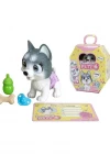 Pamper Petz Husky Evcil Hayvan Eğlencesi