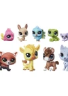 Pet Shop Minişler A Colourful Bunch Koleksiyoner Oyun Seti