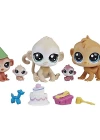 Pet Shop Minişler Birthday Bash Miniş Ailesi