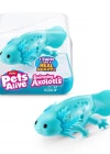 Pets Alive Yüzen Axolotl PEL11000 - Turkuaz