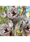 Prime 3D - Koala Pelüş ve Selfie 48 Parça Puzzle 15805
