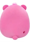Squishmallows Care Bears Serisi - Cheer Bear 25 cm CB00070