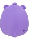 Squishmallows Care Bears Serisi - Share Bear 25 cm CB00072