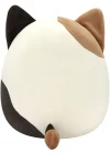 Squishmallows Kedi Cam 30 cm