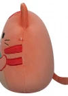 Squishmallows Tekir Kedi Gigi 20 cm SQVA00836