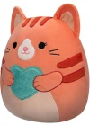 Squishmallows Tekir Kedi Gigi 30 cm SQVA00871
