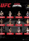 UFC Kafes Dövüşçüleri Hız Torbası Sürpriz Kapsül