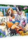 Trefl Puzzle Dog In The Garden 1000 Parça