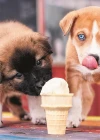 Trefl Puzzle Ice Cream Time 500 Parça