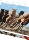 Trefl Puzzle Galloping Horses 1000 Parça
