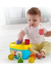 Fisher Price Renkli Bloklar FFC84