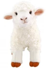 Animals Of The World Kuzu Peluş Oyuncak 29 cm