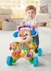 Fisher Price Eğitici Köpekçik Yürüteç FTG10