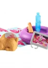 Barbie Ev Dışı Dekorasyon Aksesuarları FXG38