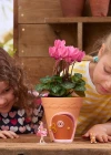 My Fairy Garden Peri Çiçek Saksısı